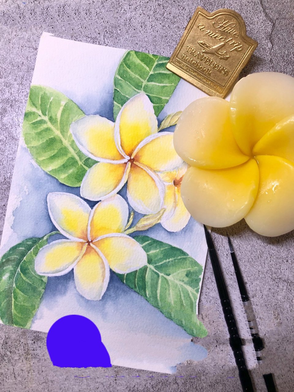 水彩原创|初学入门级手绘花卉鸡蛋花步骤图 99996996对于北方