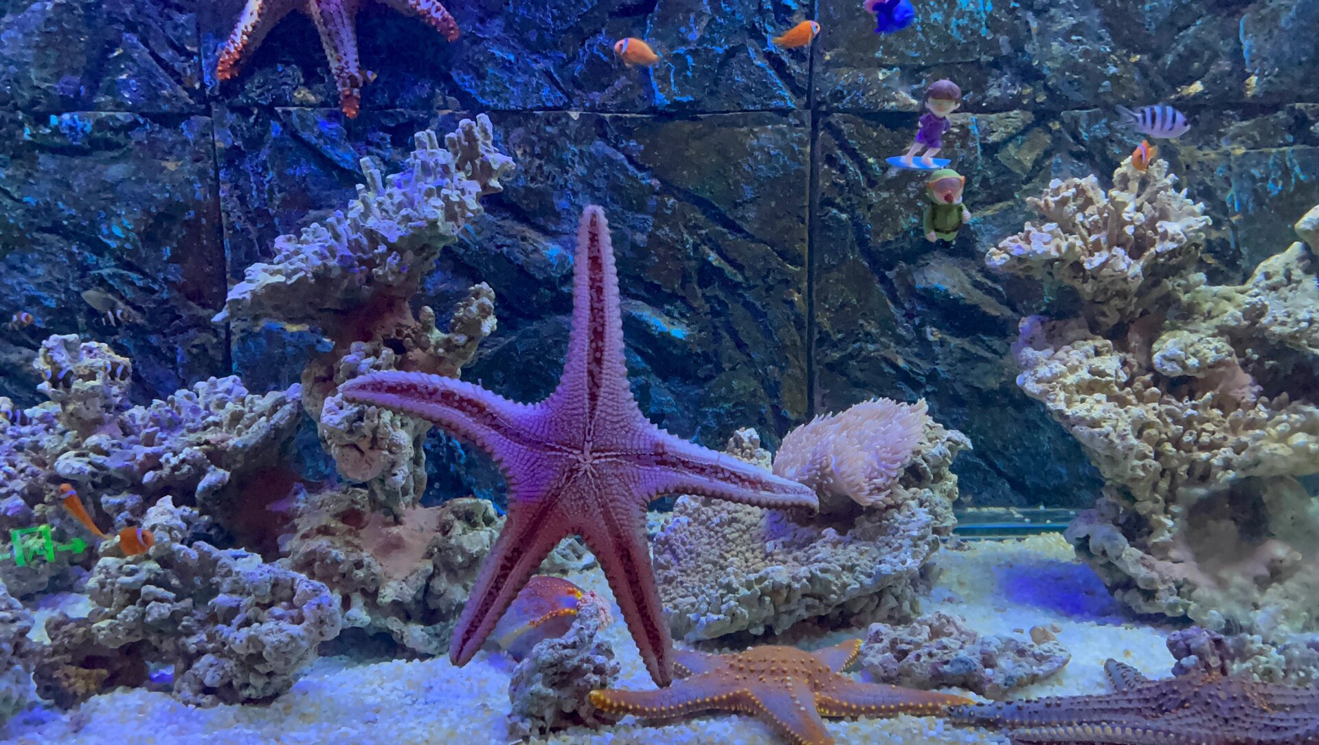 衢州周边游 金华万泰水立方海底世界 衢州出发大概开车80分钟左右