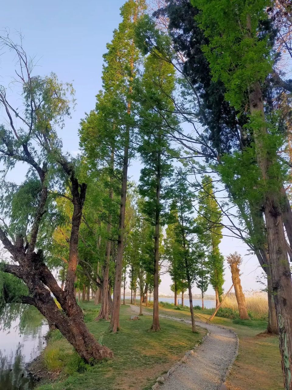 西山区干沟尾湿地公园——天空之境 另外一个角度的昆明,风景宜人
