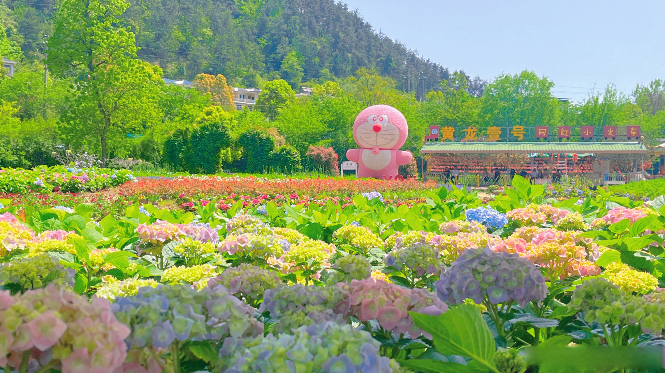 黄龙壹号生态园门票图片