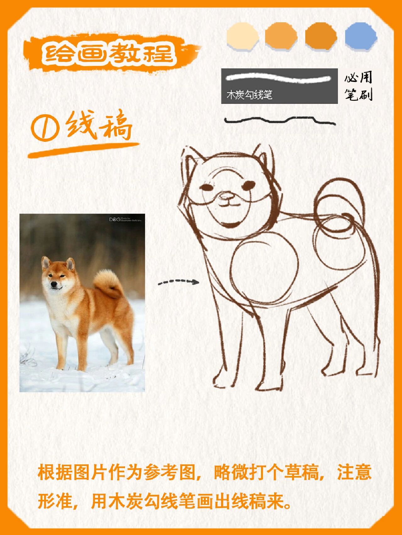 5步教你画q版柴犬|零基础绘画教程