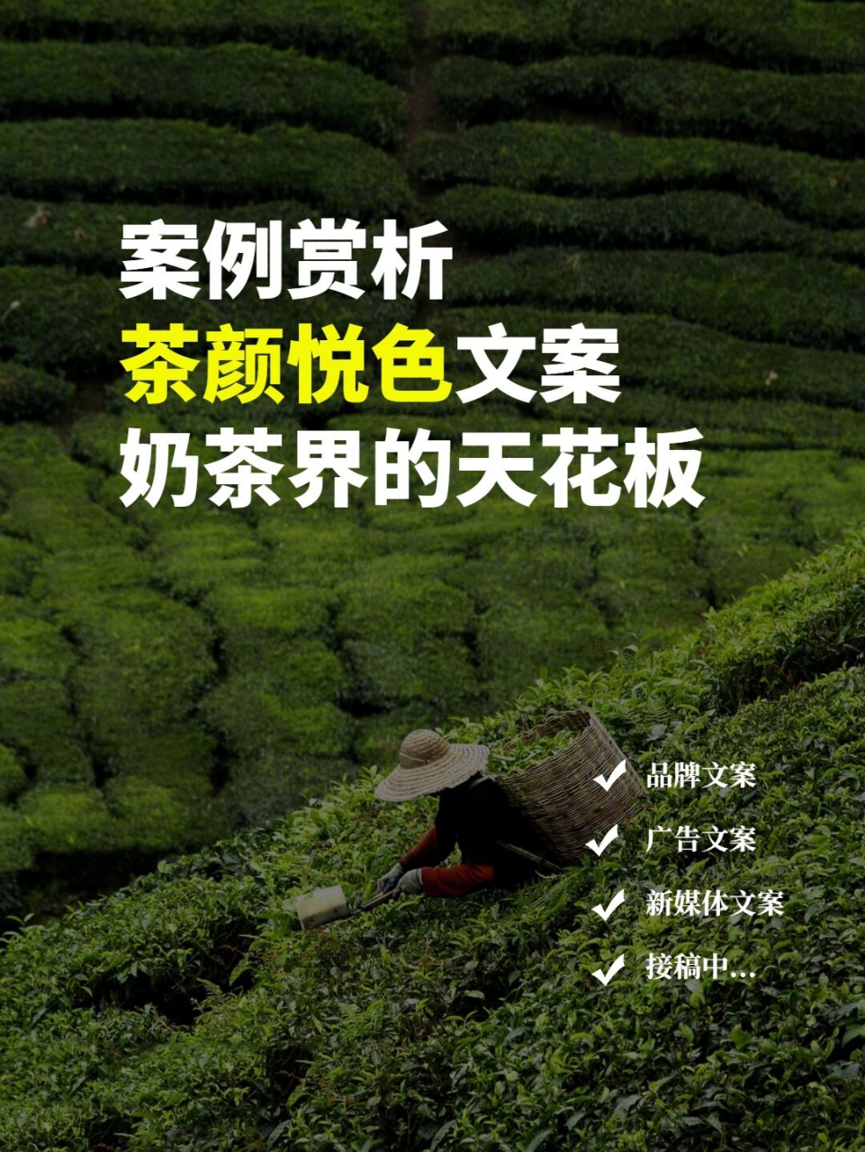案例赏析 | 茶颜悦色品牌文案,奶茶界天花板 寒冬孕蕾的栀子 夏季如期