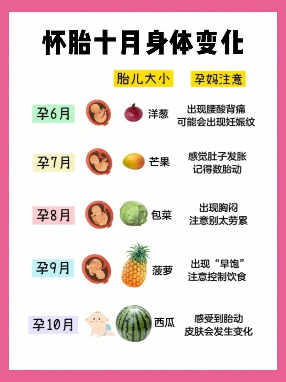 那么今天就跟着 一起来看看胎儿大小的水果蔬菜对比图吧!