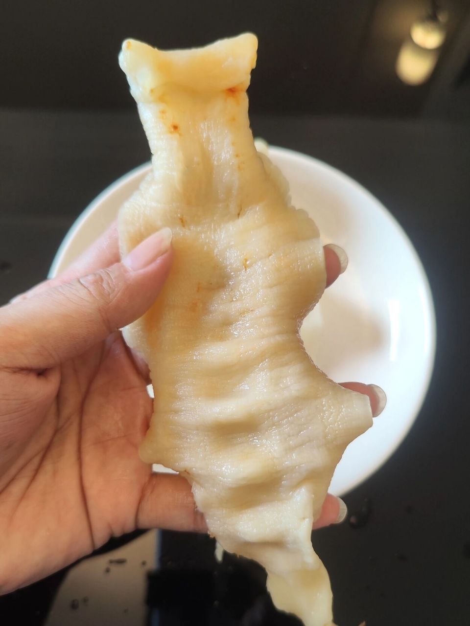 本港赤青鲈鱼胶和赤嘴鱼胶泡发对比图片,青鲈虽然胶州薄,但泡发率大