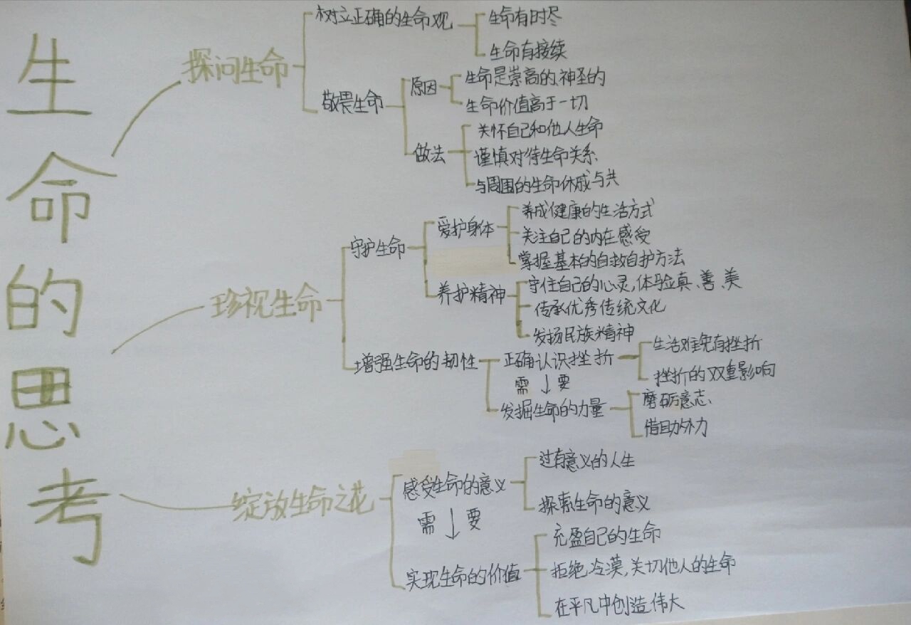 政治珍视生命思维导图图片