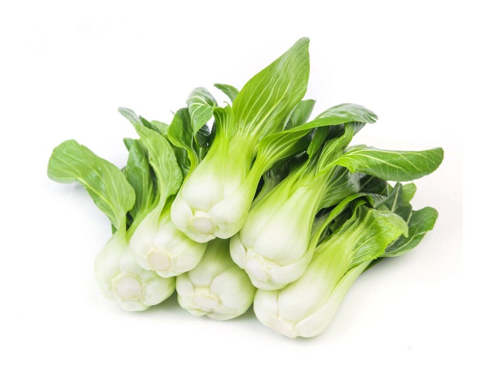 静物摄影丨瓢儿白,附拍摄思路 今天分享的是瓢儿菜 - 拍摄思路 ①如何