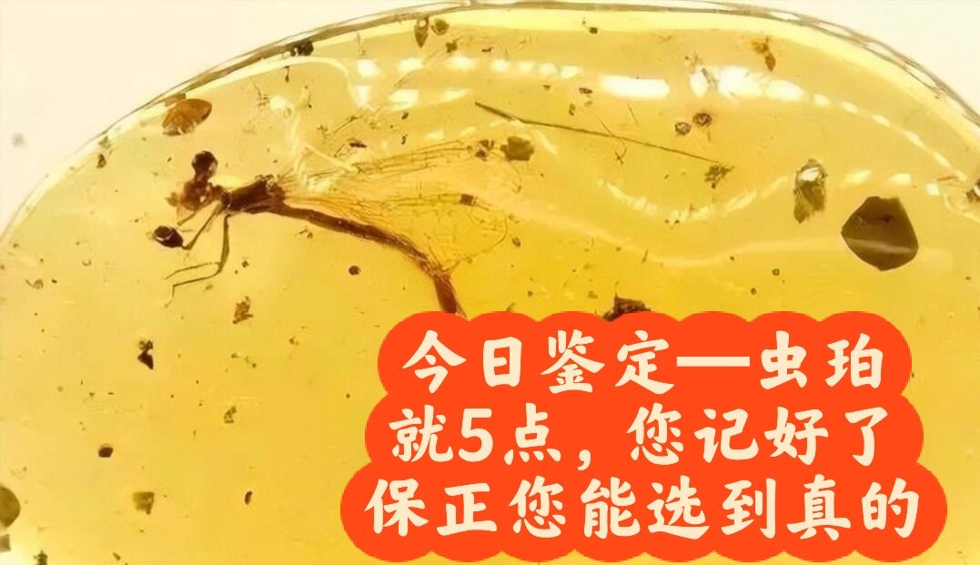 如何判断虫珀真假?就五点,您可记住了