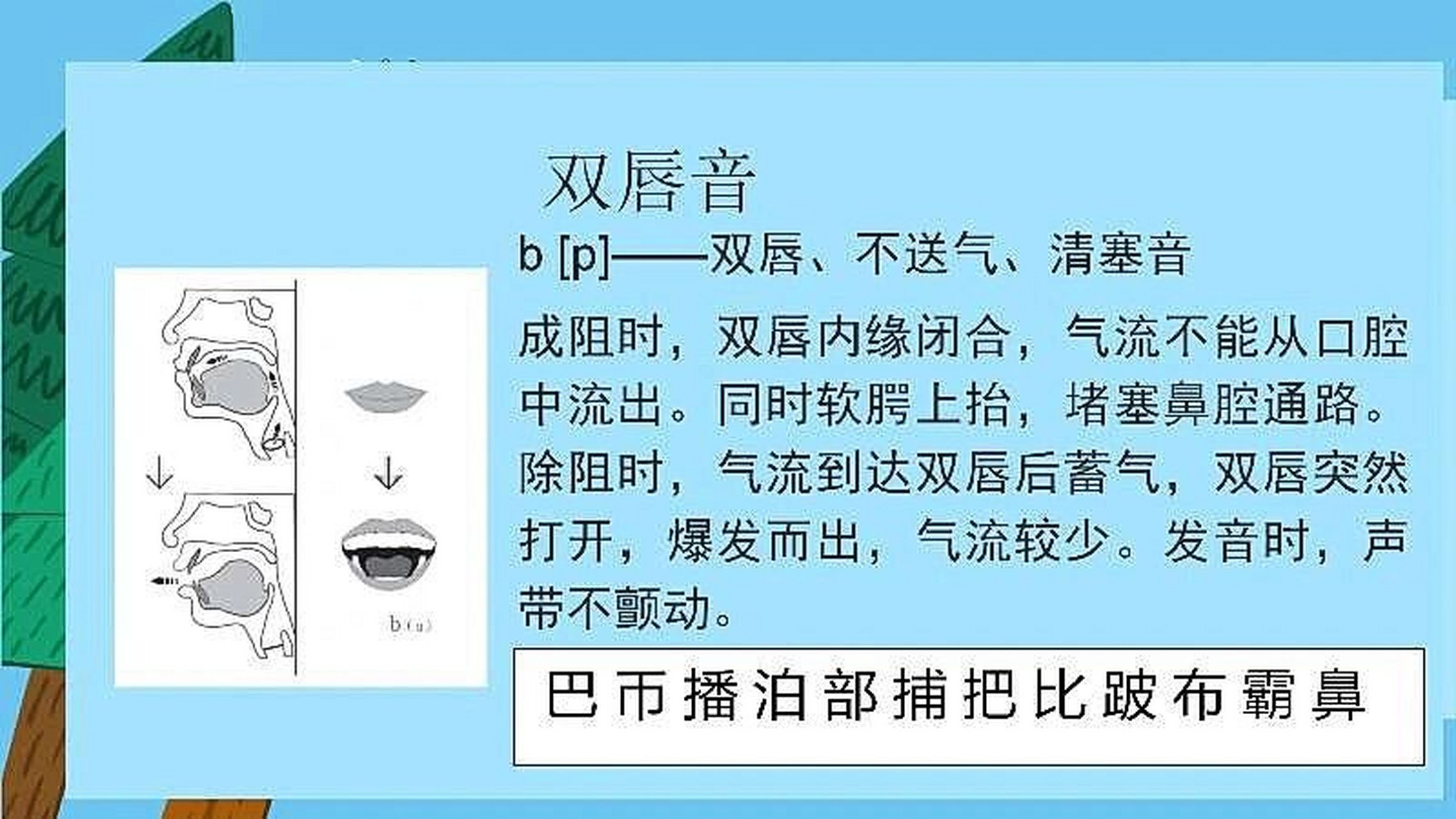 发音训练 双唇音 bpm 双唇阻 b,p,m 发音要领 b