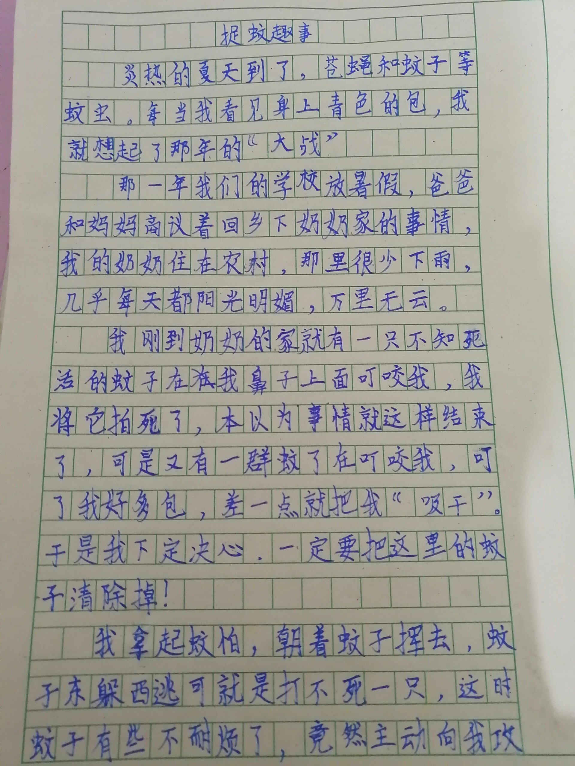 四年级作文—生活万花筒