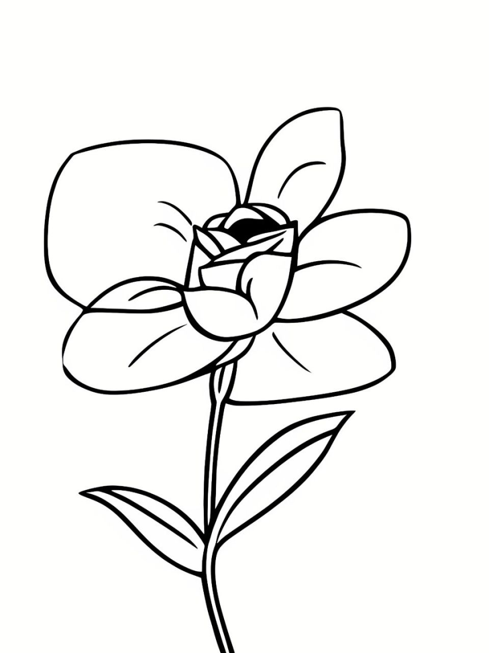 每日涂鸦 #来小红书涂鸦画一朵小红花