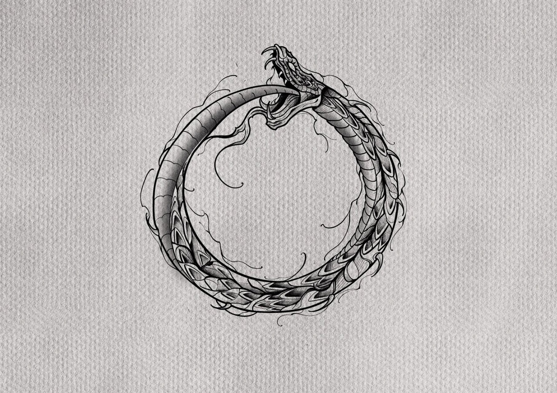 衔尾蛇 | 石家庄纹身 蛇纹身客稿 ——第一次纹身 ——很喜欢蛇的素材