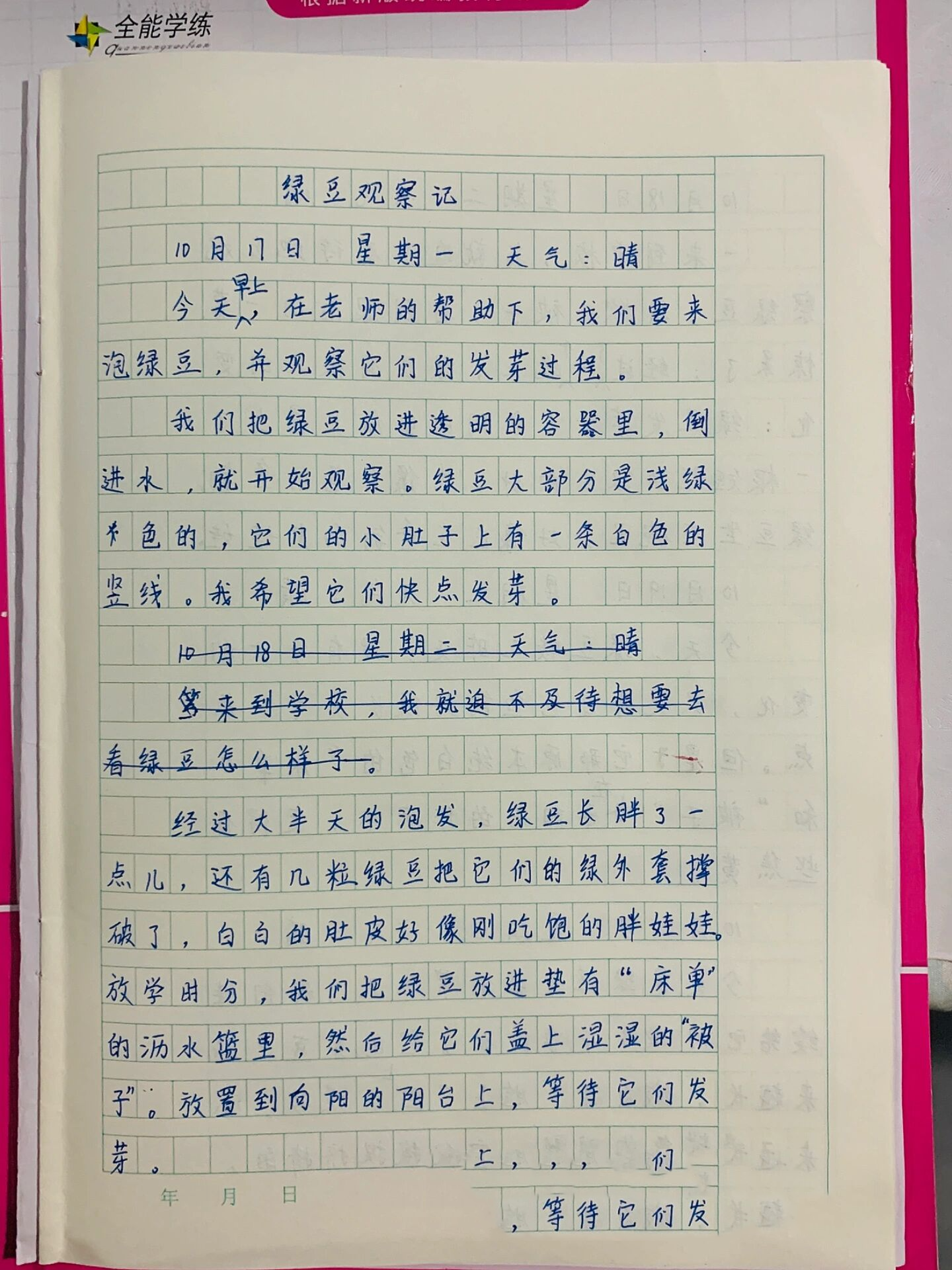 观察绿豆作文图片