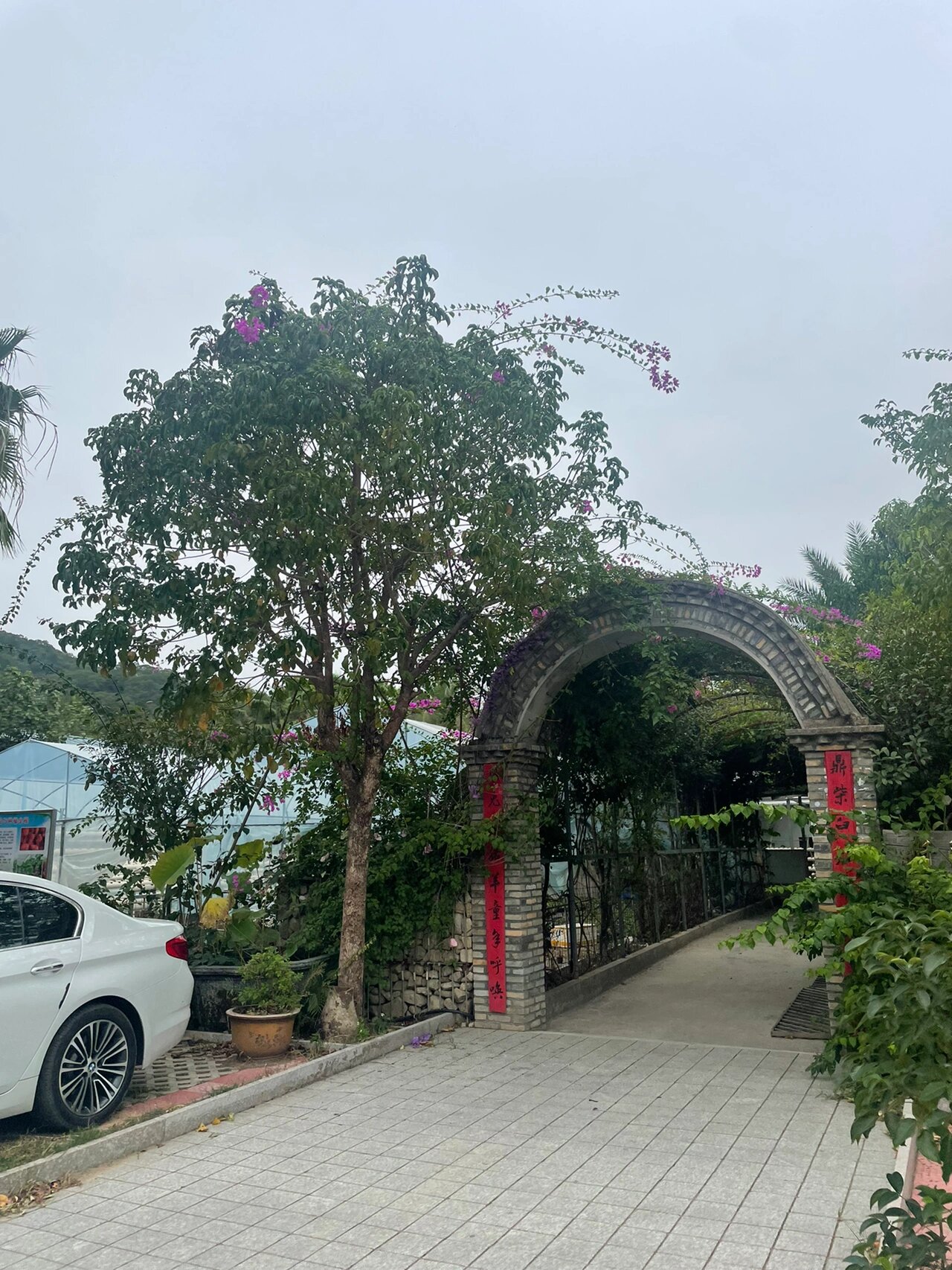 琅岐阡陌农庄 周末去逛了逛 比上次来大了不少 又可以采摘还可以烧烤