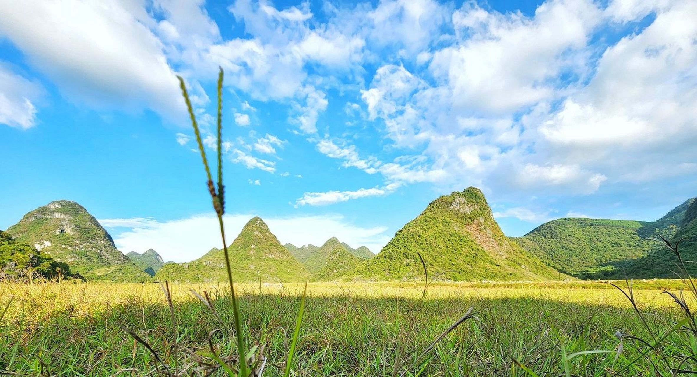 柳州露营第九站——柳版塞上草原 74露营时间:2022年10月2日 15:00