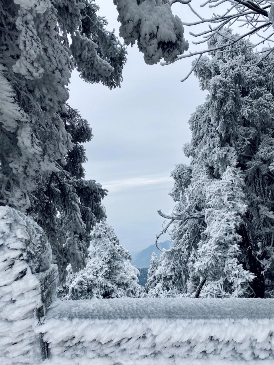 2022年南岳雪景图片