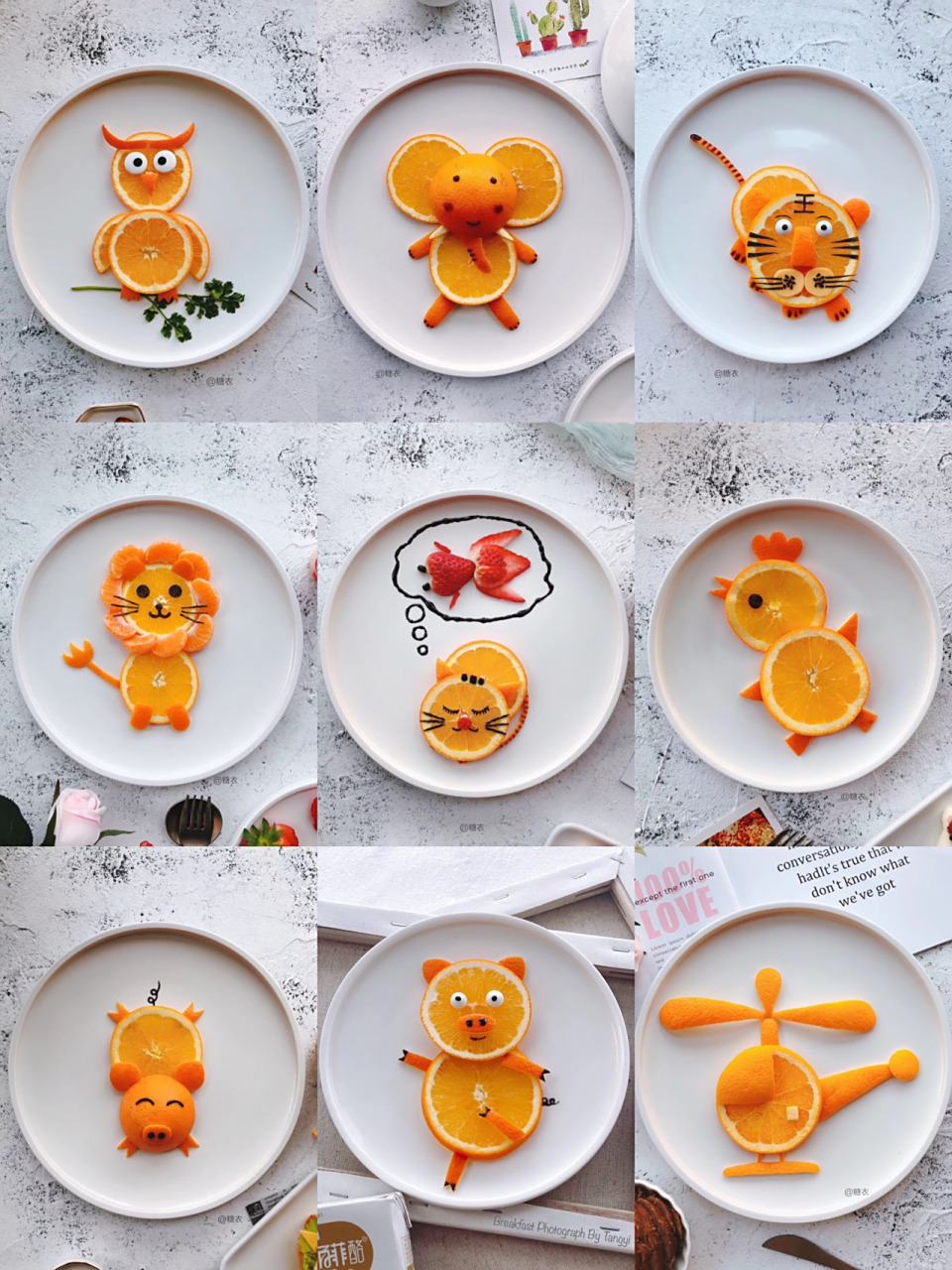 92创意水果拼盘 图被某个表脸的人盗用了,多次投诉无果,只能发原图