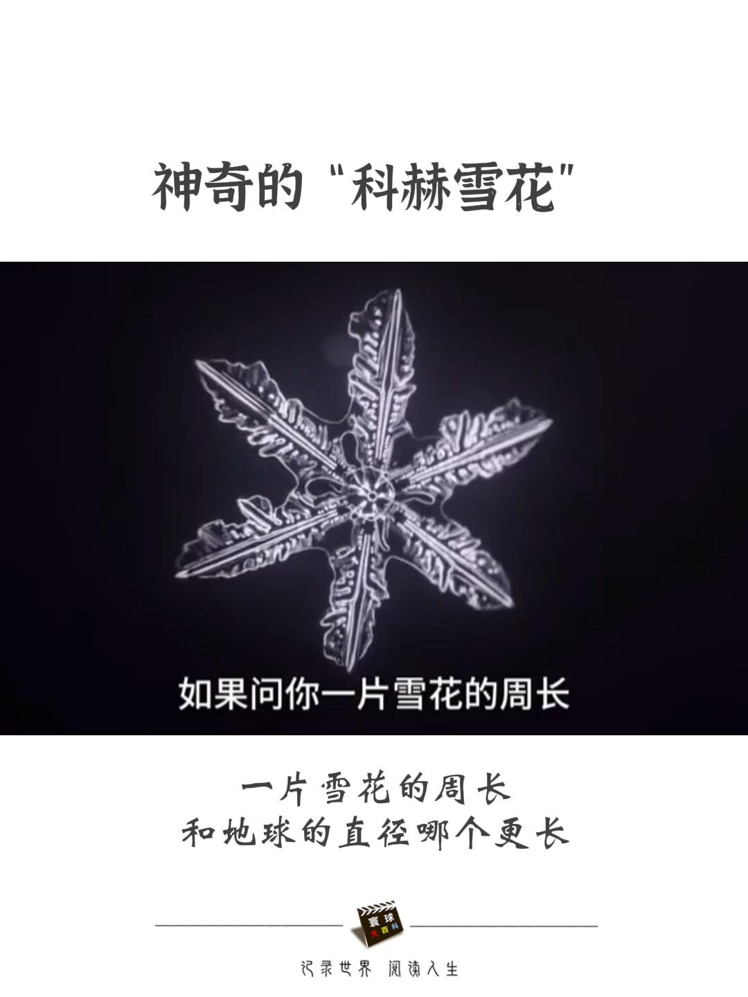 科赫雪花画法图片