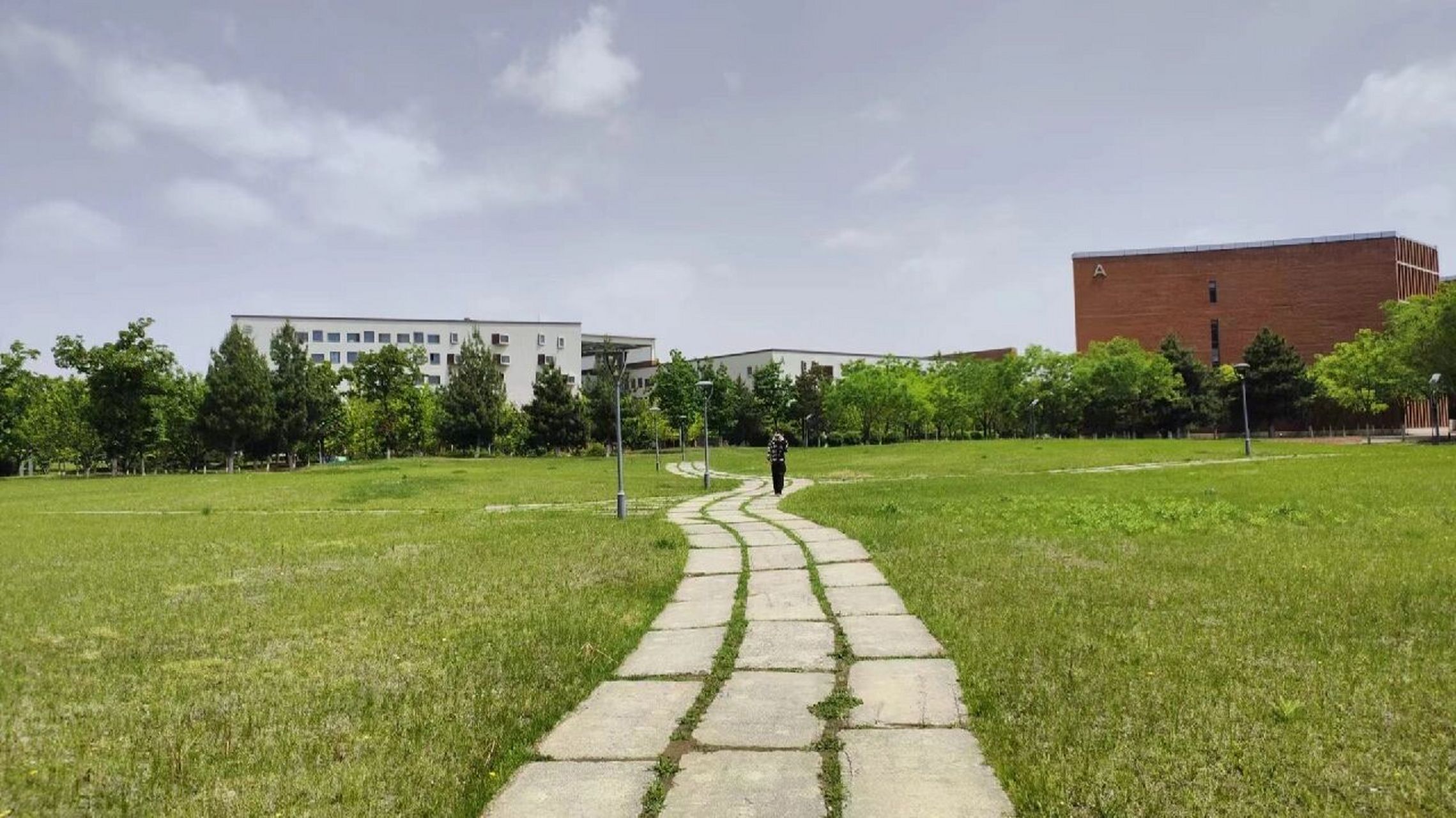 东北大学浑南校区位于辽宁省沈阳市浑南区创新路195号,距东北大学南湖