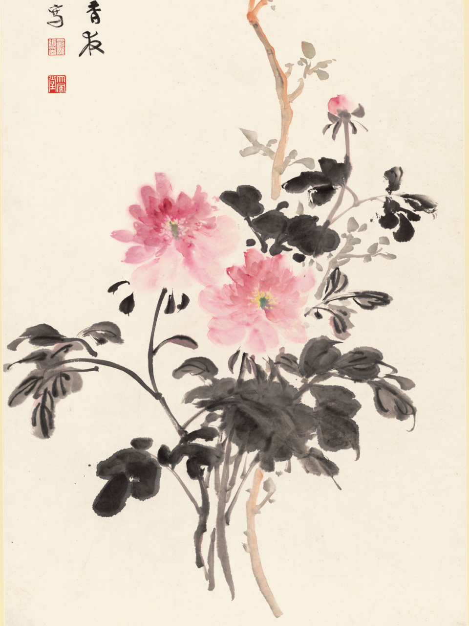 赏画|张大千|牡丹 近现代  67×126厘米 绘画 水墨 设色 书画 私人