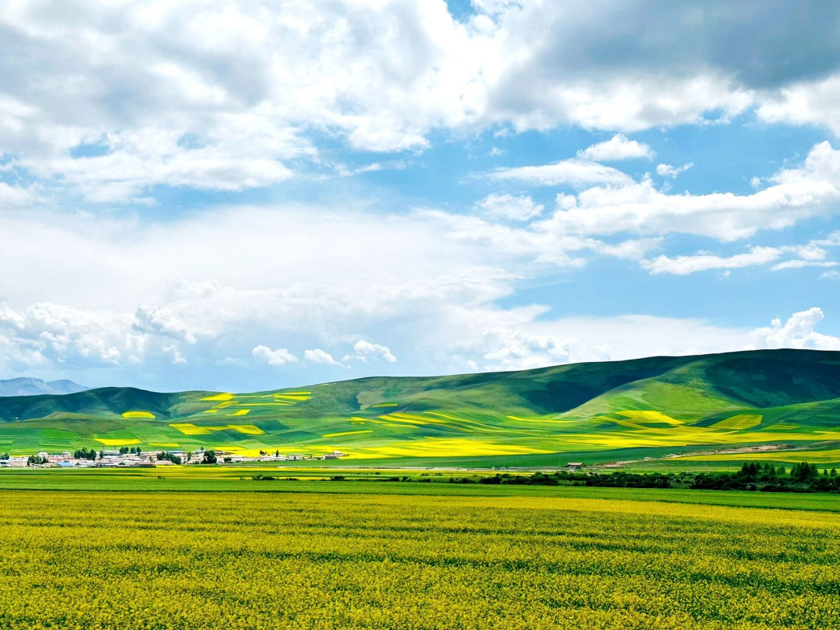 祁连山草原太美辣! 家人们谁懂呀! 整个青甘大环线最后一个景点!