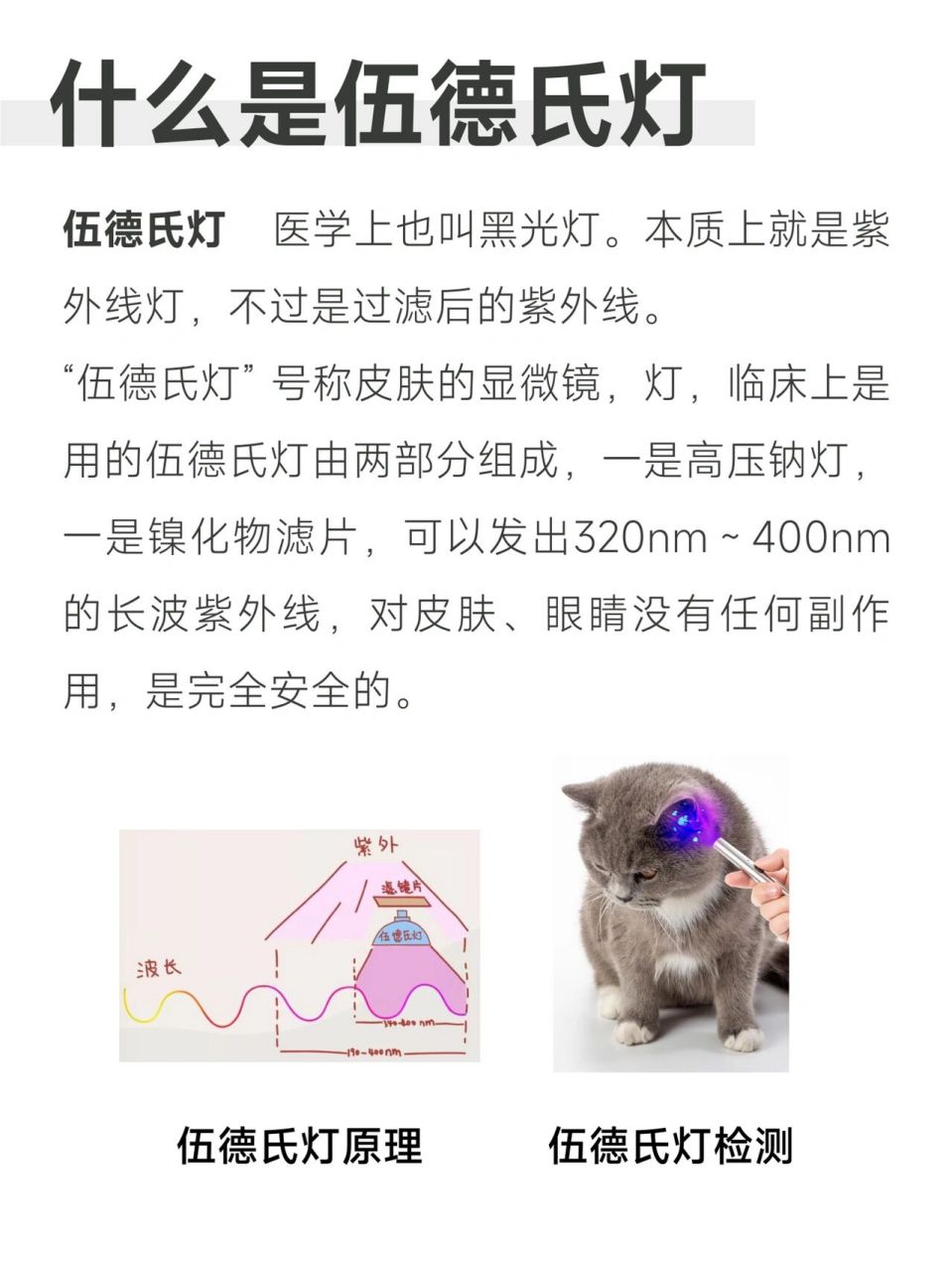 伍德氏灯使用方法和对照表!猫癣自检利器!