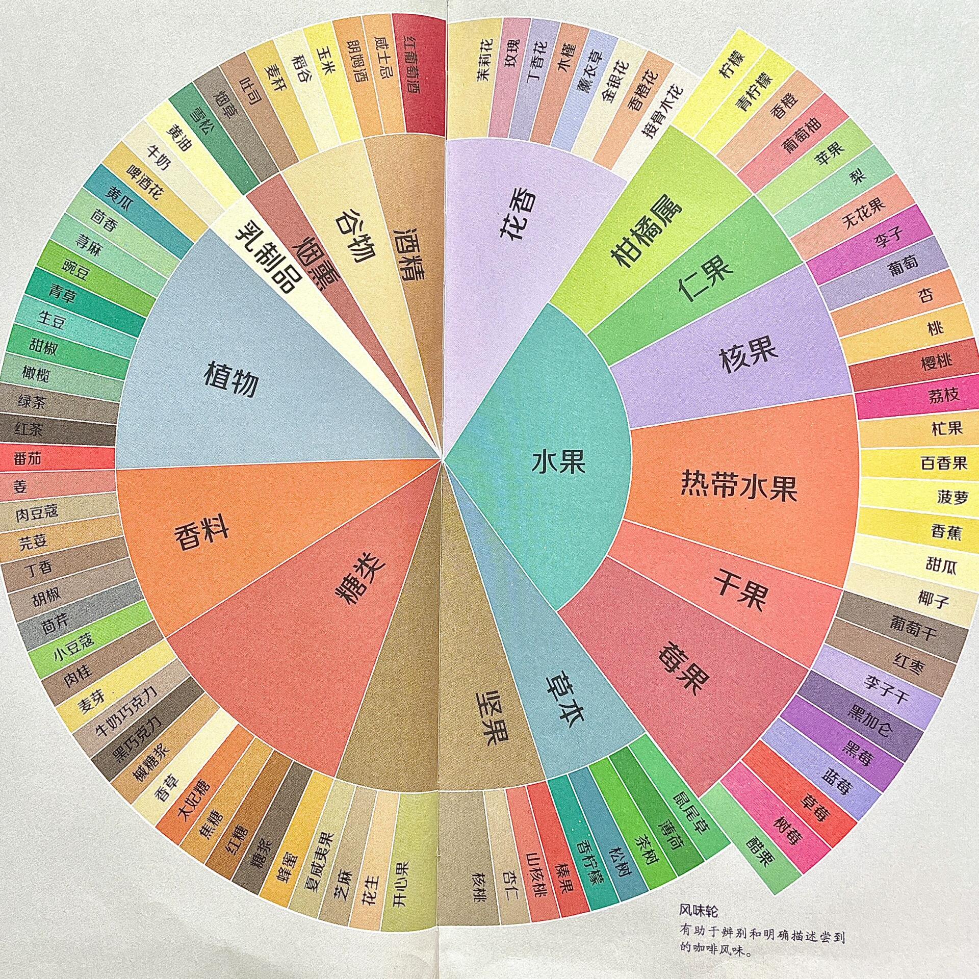 咖啡风味轮2020图片