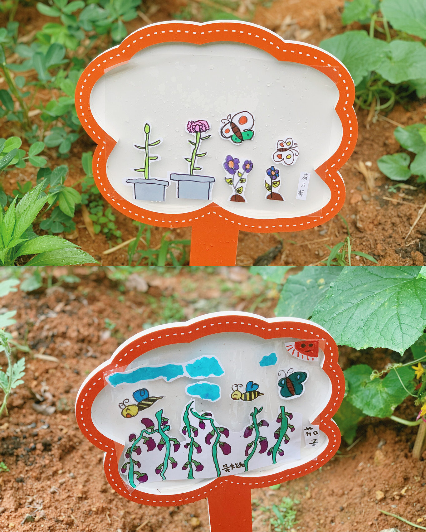 植物园标牌95 幼儿自主绘画标牌