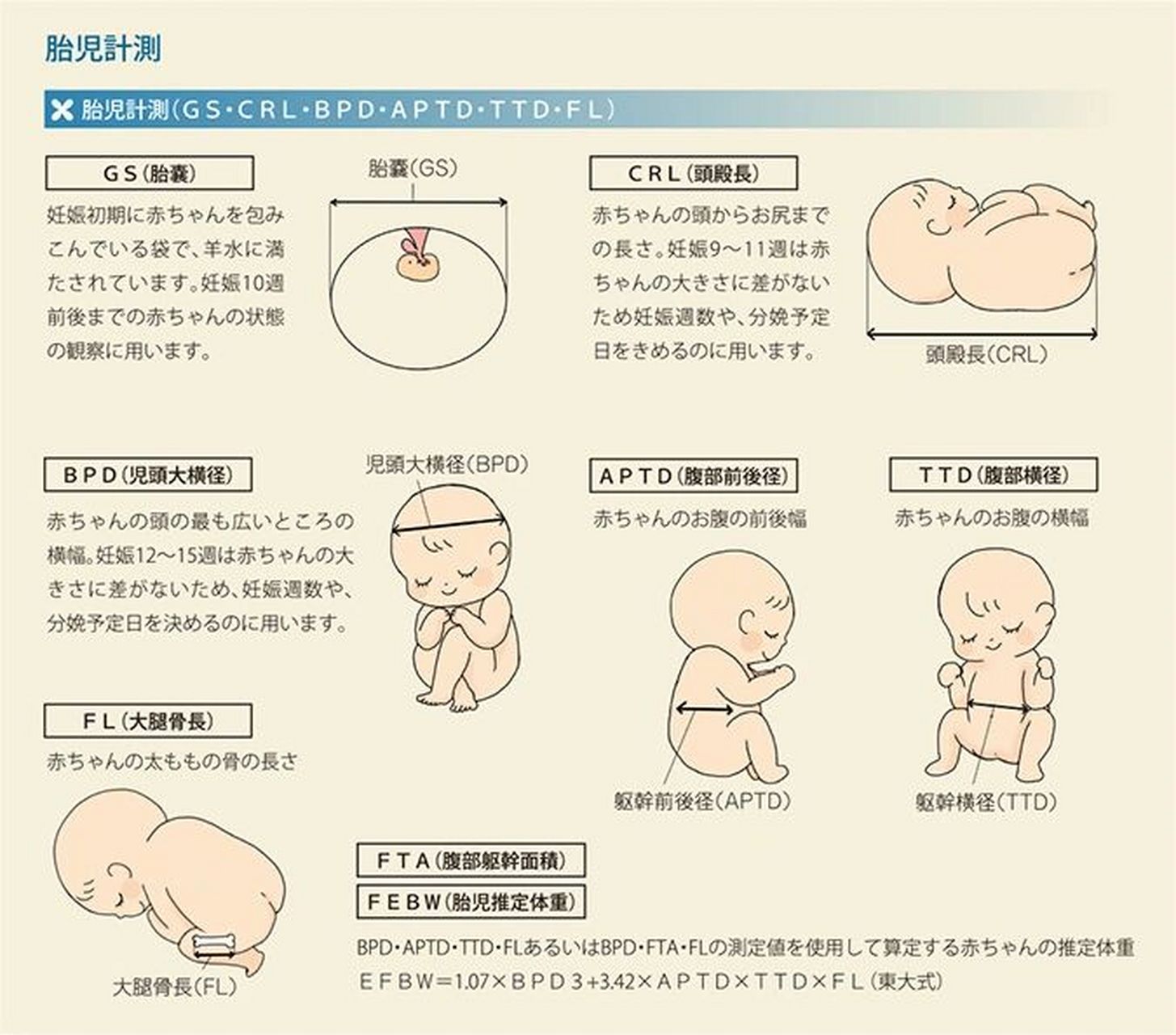 常见产检英文缩:crl/bpd/afi/aptd…简介 妇产科其实有很多英文缩写