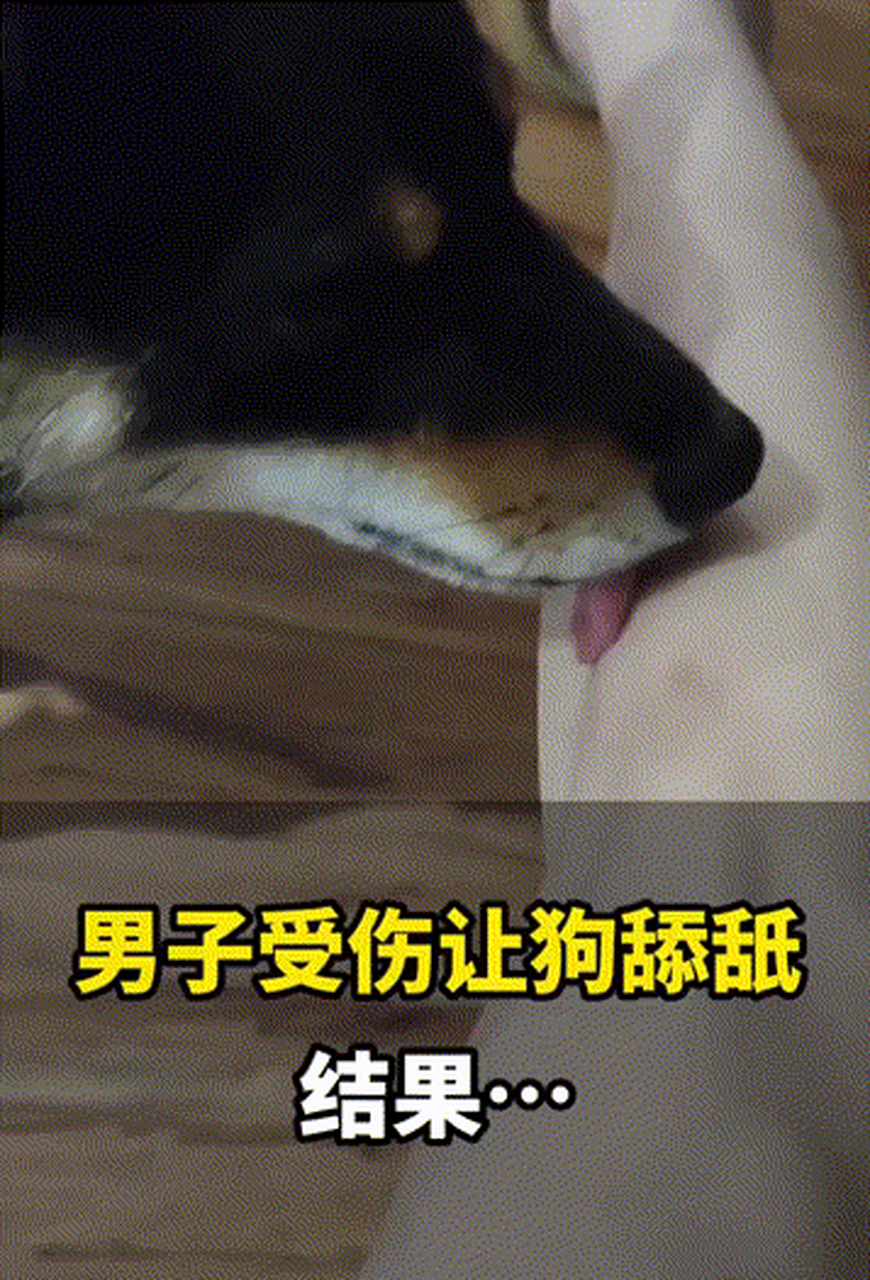 据报道,6月21日,浙江宁波一名男子受伤后将自己的伤口让狗舔舐,结果