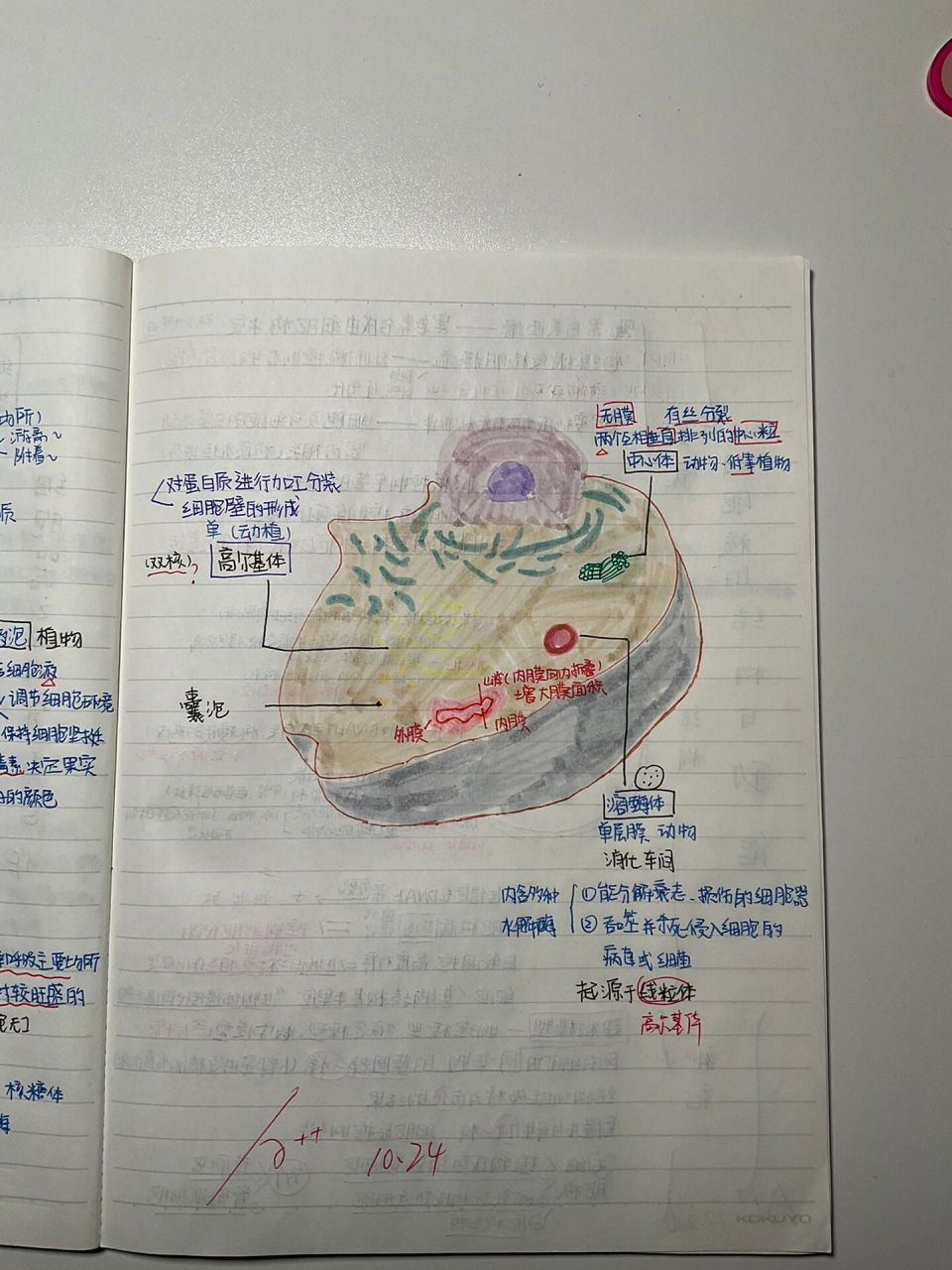 生物必修一第三章导图图片