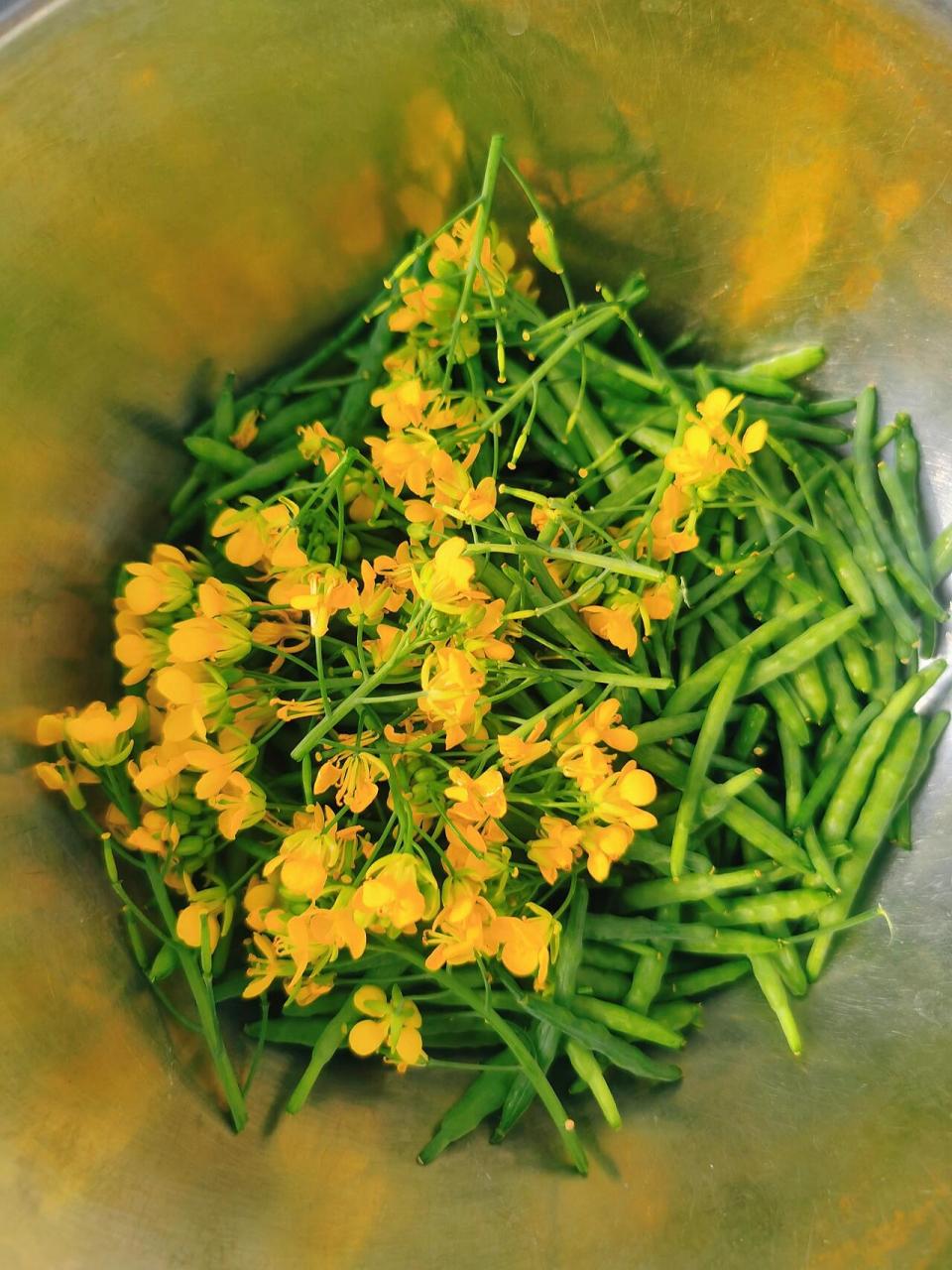 清炒油菜花籽 收货了满满一碗油菜花籽,是春天的味道.