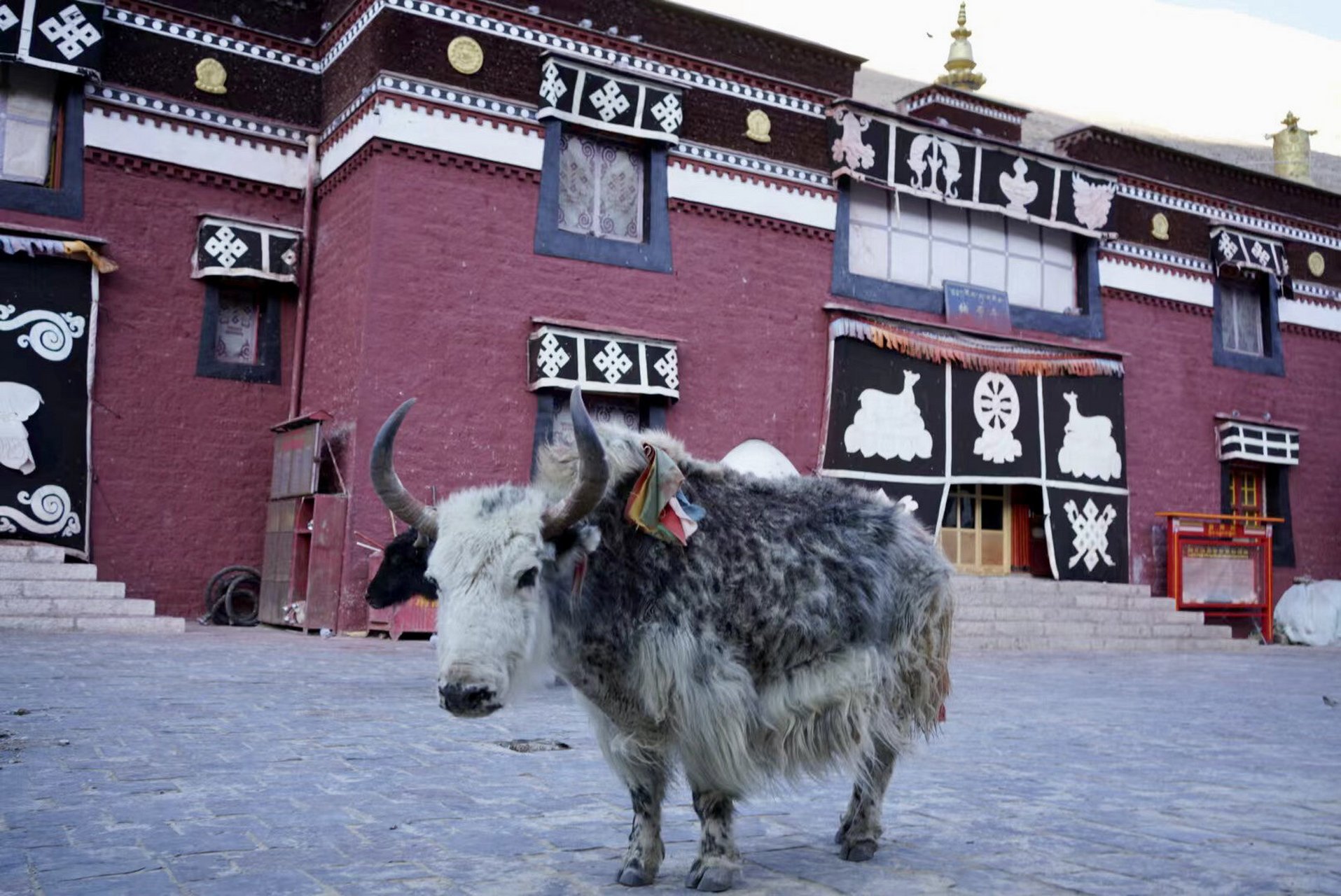 世界上最高的寺庙 - 珠峰绒布寺 绒布寺,世界上最高的寺庙,海拔五千米