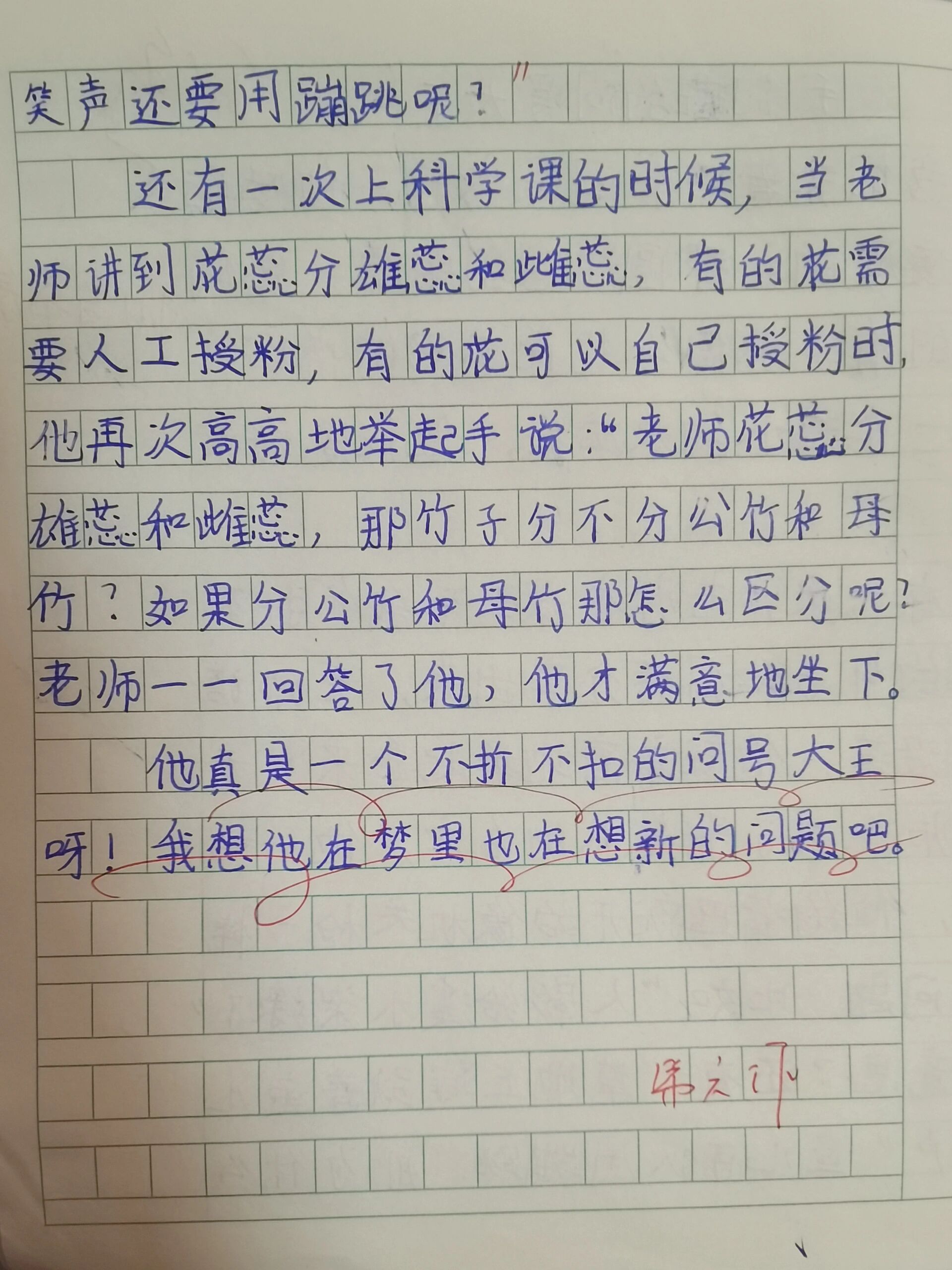 我们班的小问号作文图片