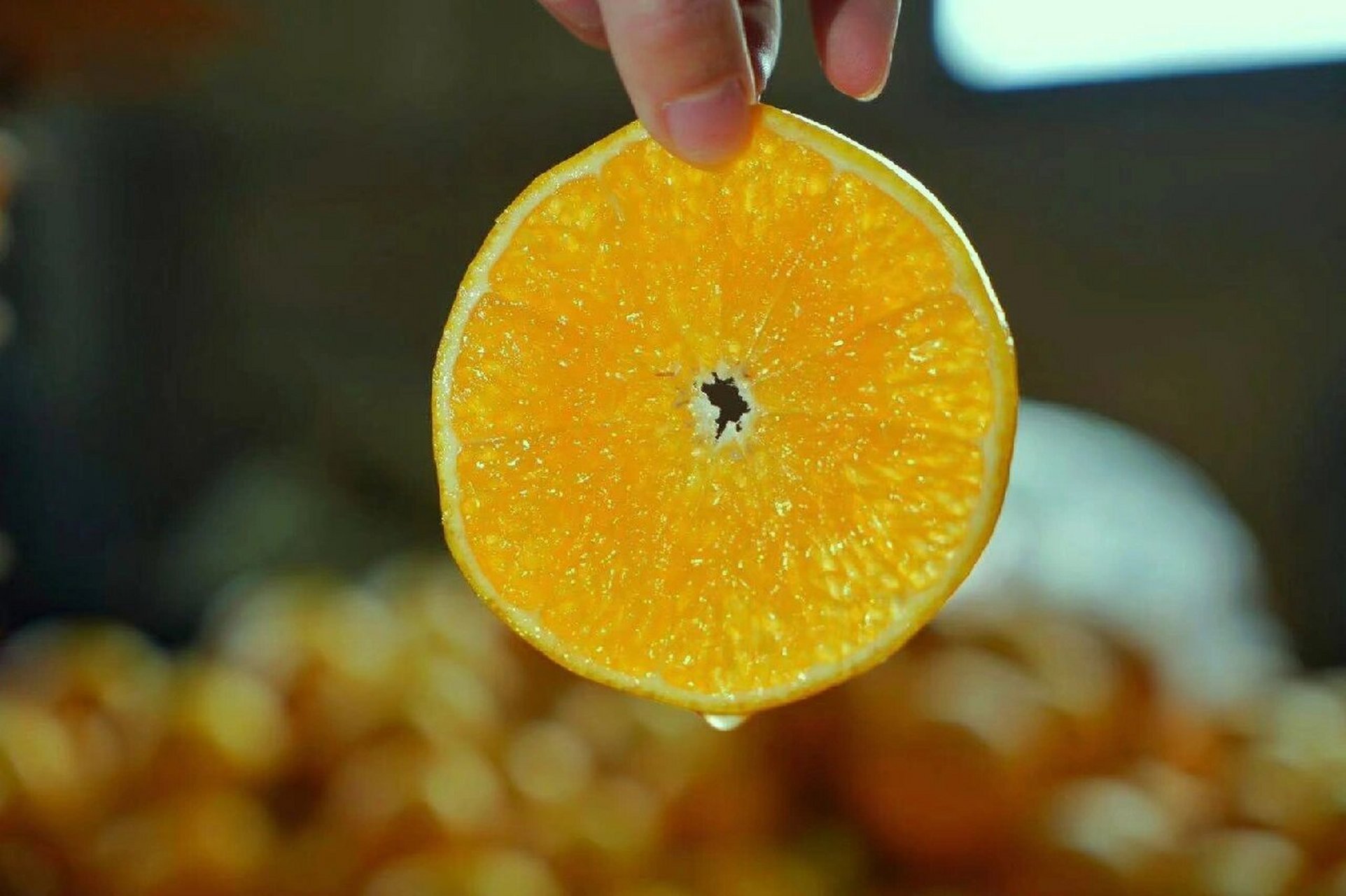 阳光一号橘柚是柑橘中最好吃的品种之一,但是目前市面稀少,至少有95%