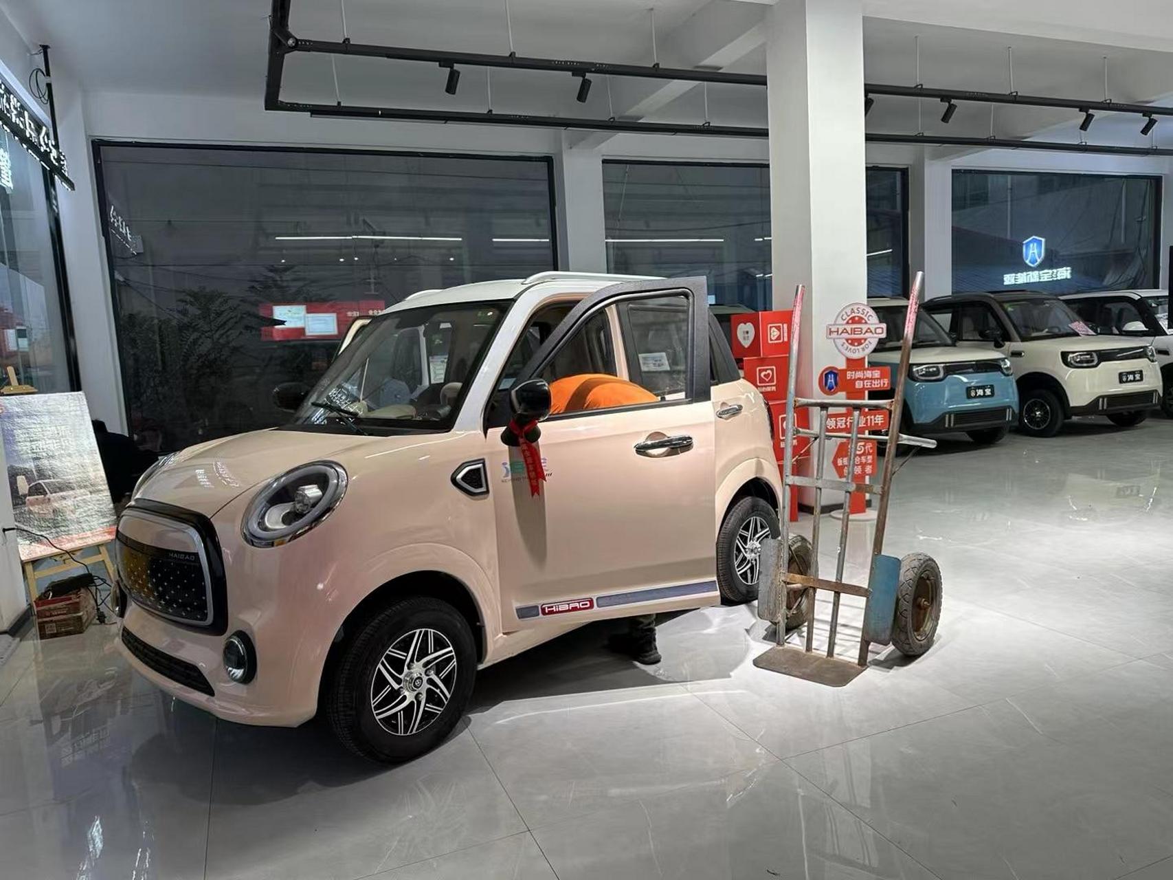 海宝【灵动pro】高端电轿走起