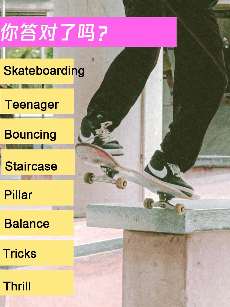 skate单词图片