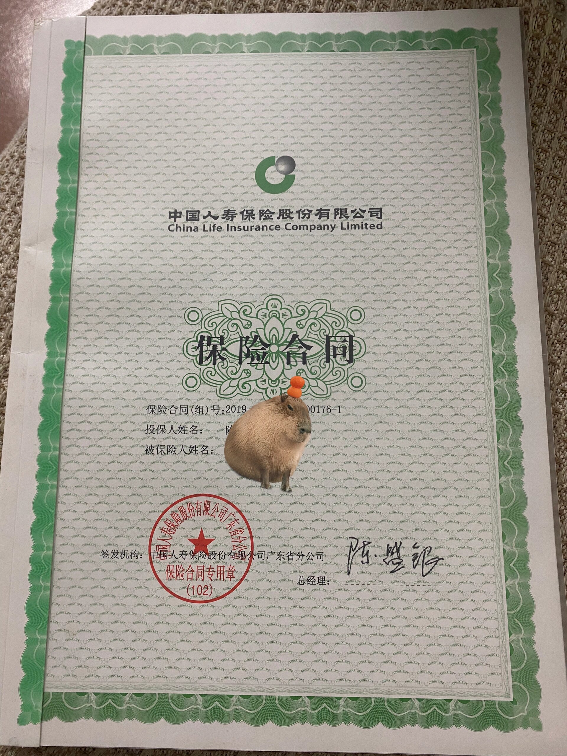 国寿福终身寿险 臻享版.保险要不要退了