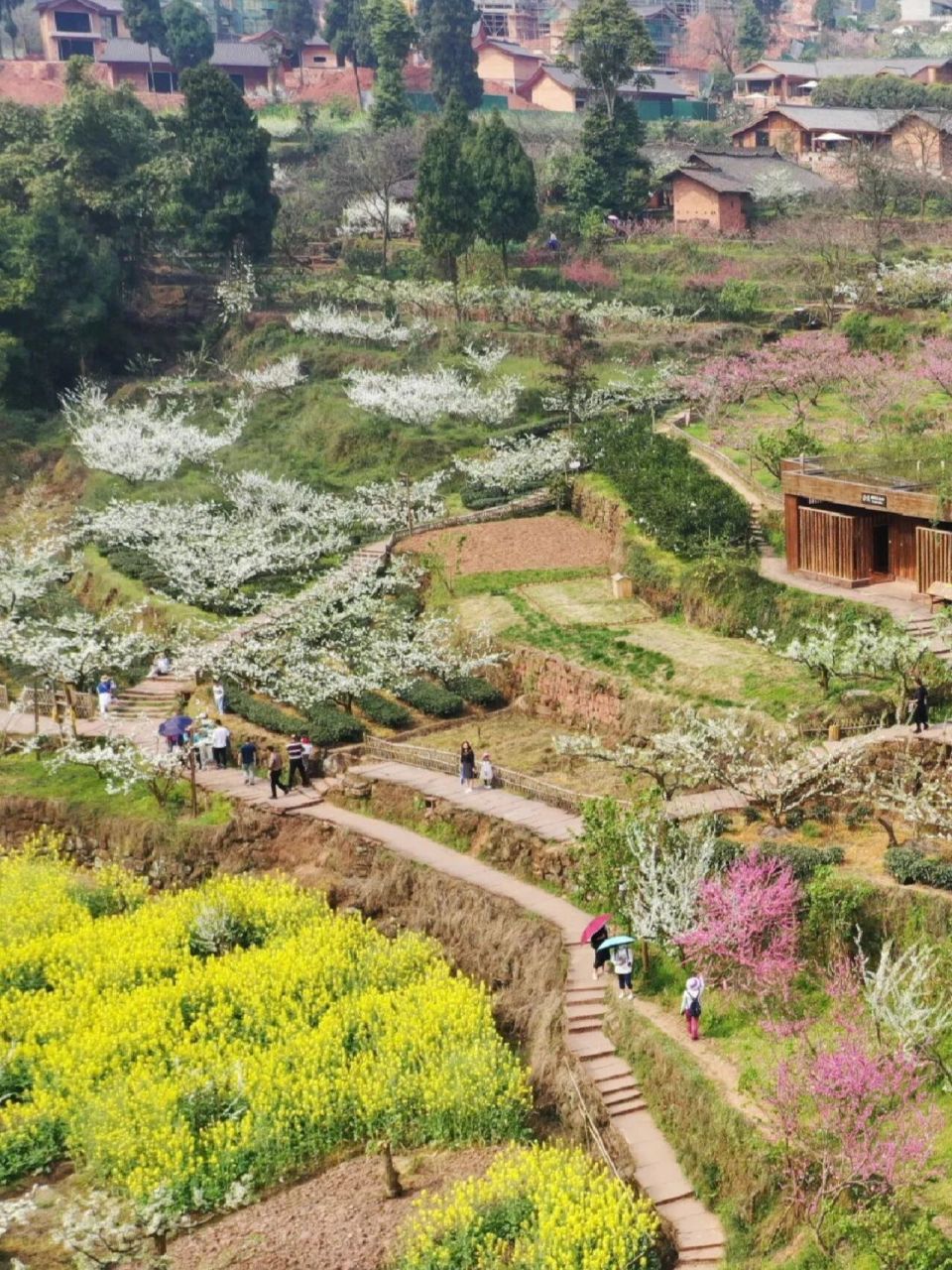 成都周边 | 丹棱幸福古村,世外桃源的模样 走进丹棱幸福古村 映入眼帘