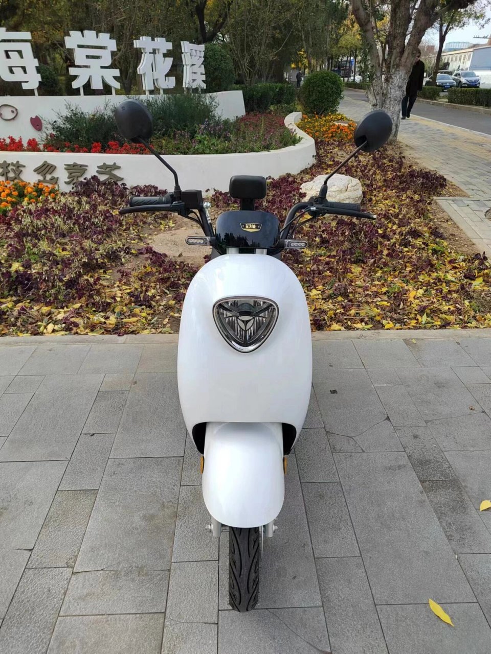 雅迪冠能二代dm6电动车,48v24a碳纤维锂电 雅迪冠能dm6电动自行车,48v