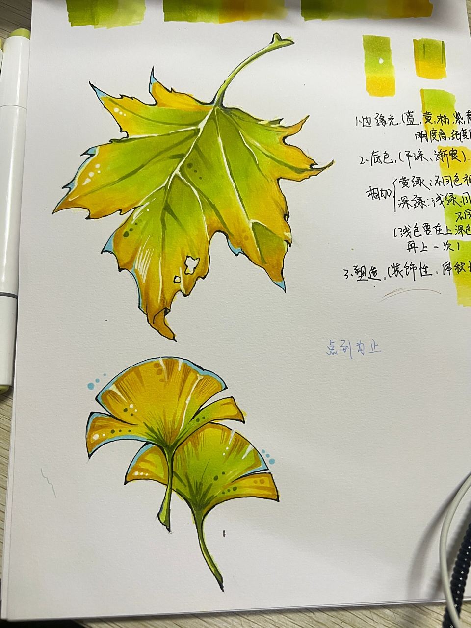 马克笔枫叶手绘 手绘练习