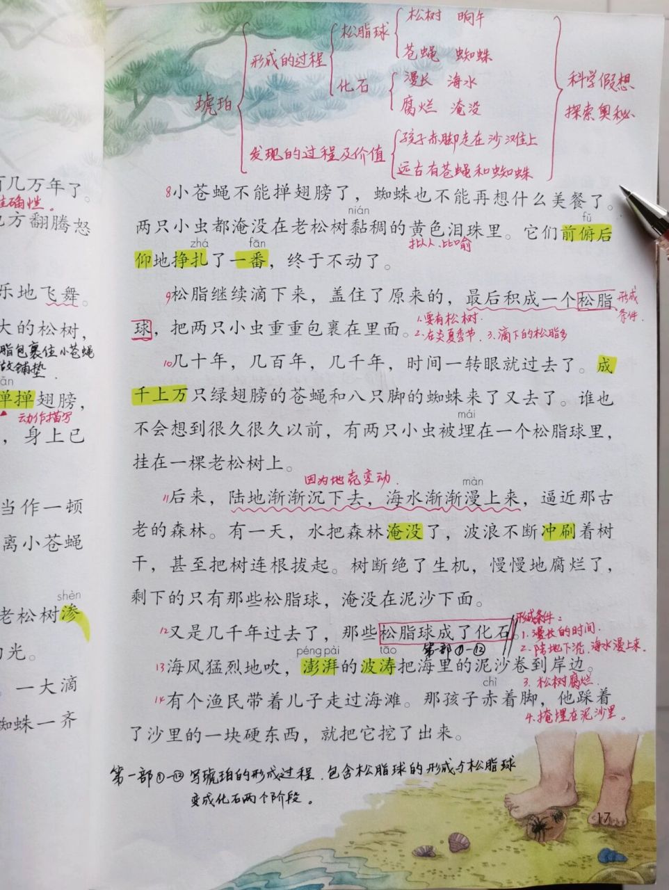 课堂笔记|四下《琥珀》 课堂笔记|部编版人教版统编版四年级语文下册