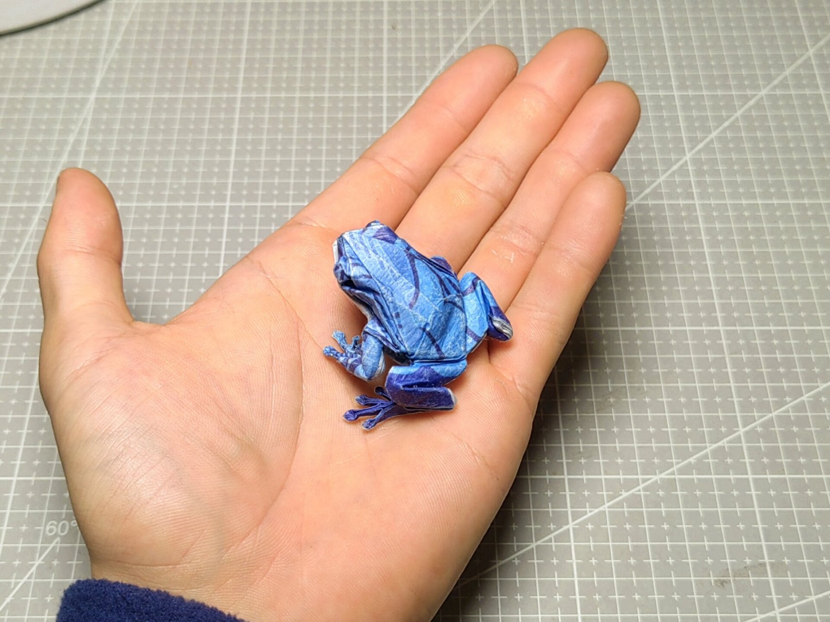 折纸搬运树蛙图片