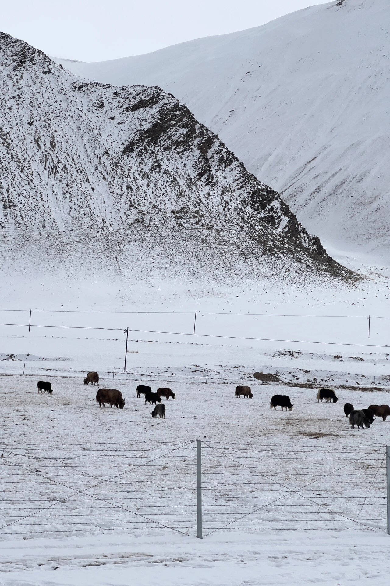 南疆·冬季帕米尔瓦罕走廊77中巴友谊公路