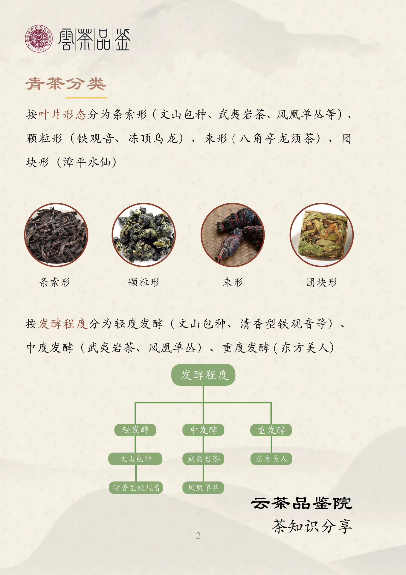 青茶的功效与作用图片