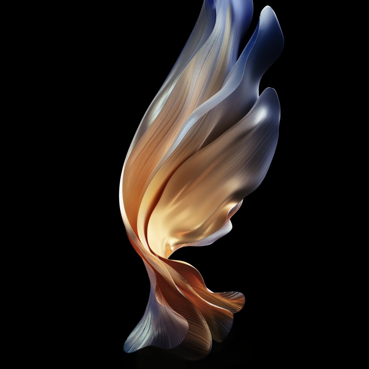 fold5改w24壁纸 素质三连 拿壁纸