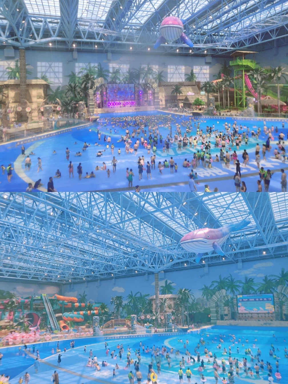 济南首家恒温室内水世界:济南融创水世界5月29日盛大开业9696有幸