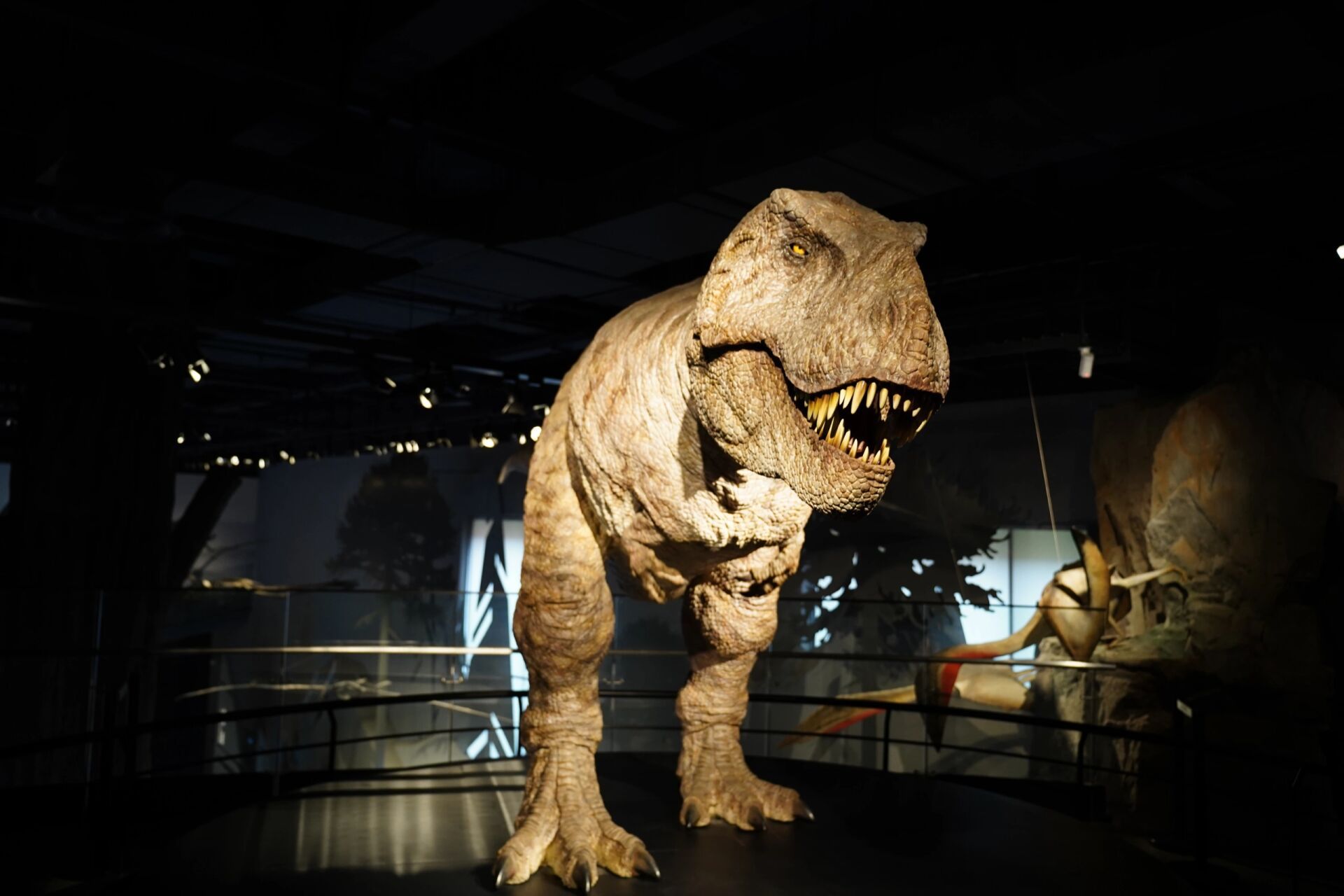 浙江自然博物馆安吉馆和杭州馆 超喜欢恐龙的娃已经多次打卡上海自然