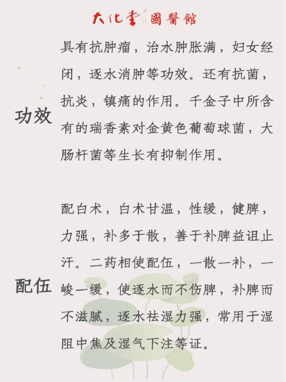 每天认识一中药91千金子93抗菌阵痛消炎 73功效 具有抗肿瘤,治
