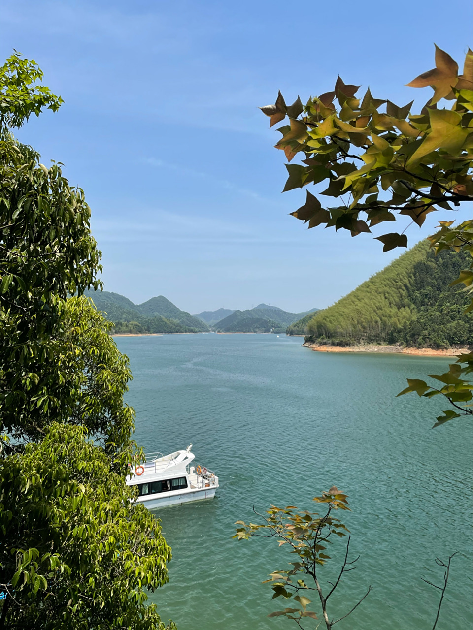 五一出行|宁国青龙湾风景区攻略分享 五一黄山市周边旅游安利 因为