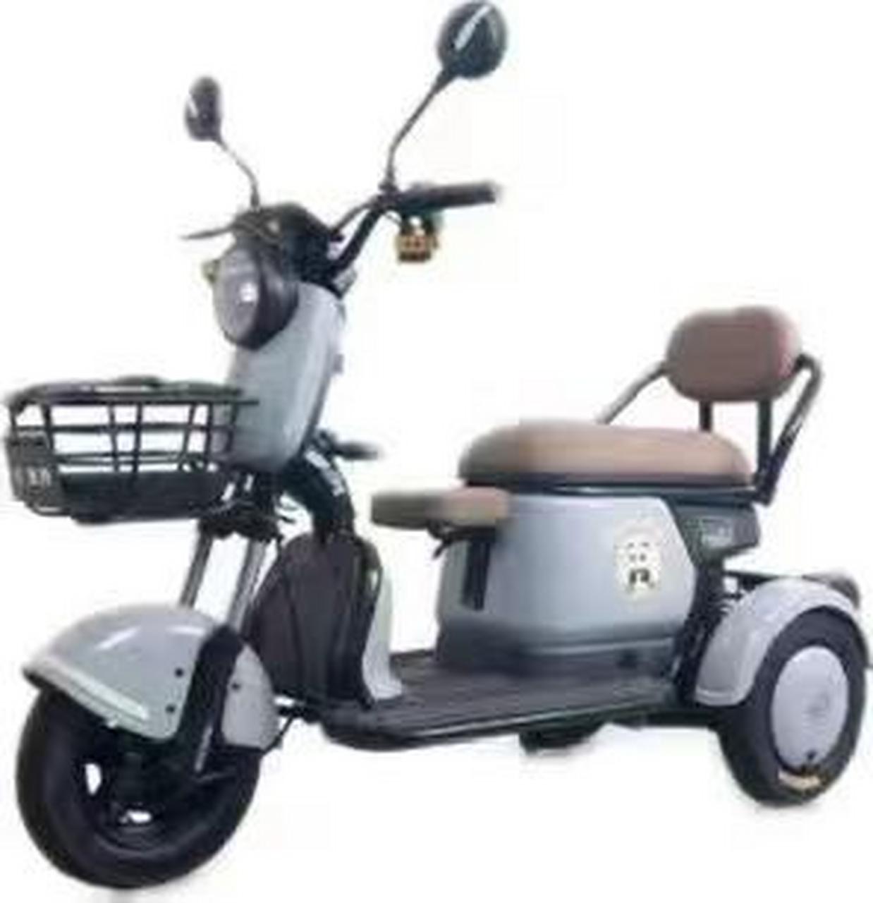 新国标电动车 赛鸽电动休闲三轮车